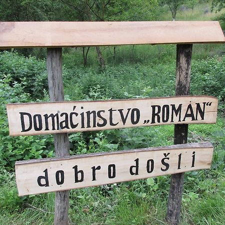 Country House Roman Doboj Dış mekan fotoğraf