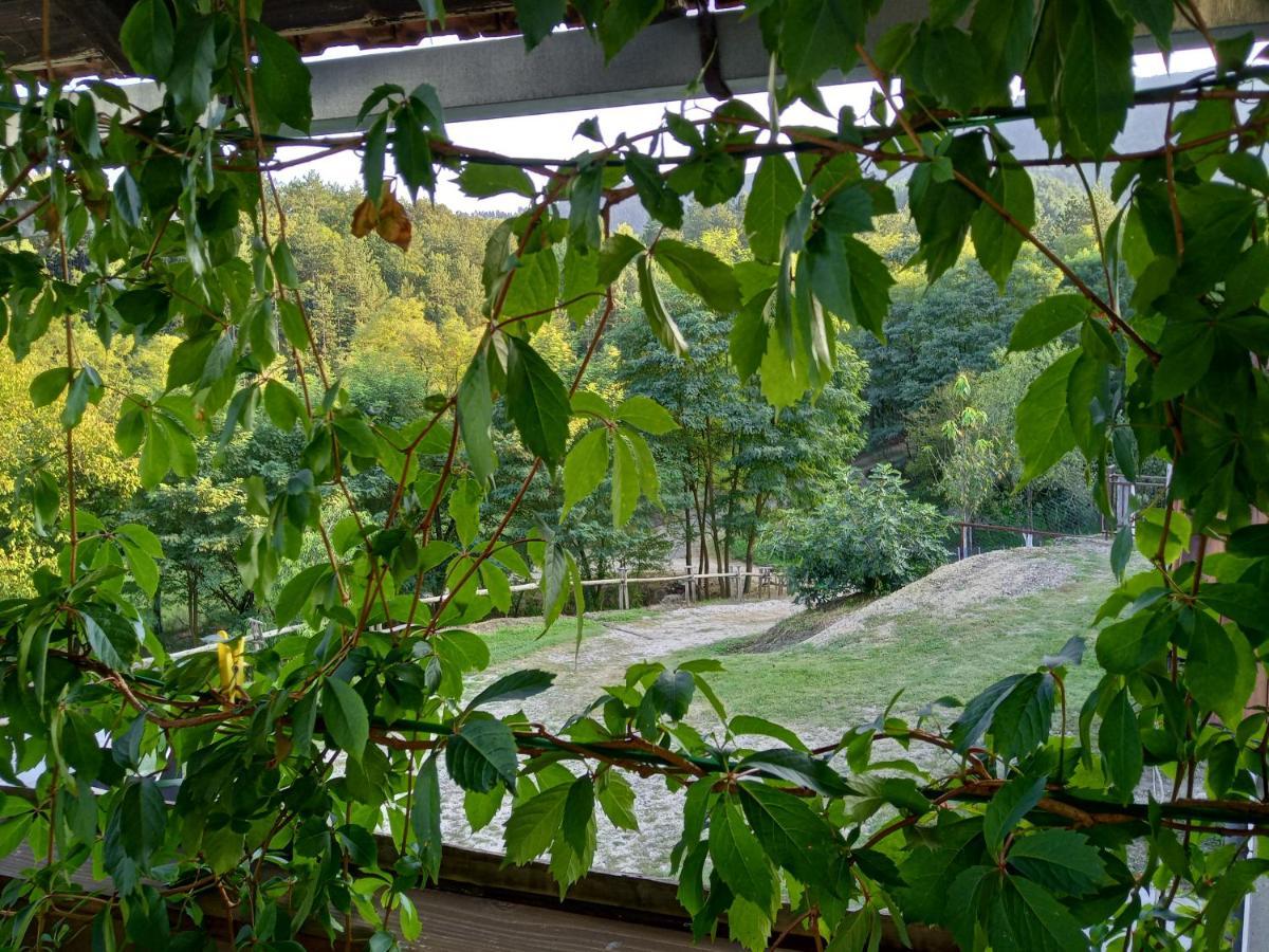 Country House Roman Doboj Dış mekan fotoğraf