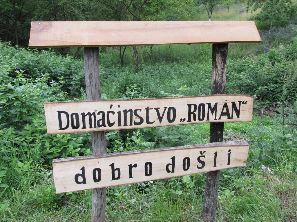 Country House Roman Doboj Dış mekan fotoğraf